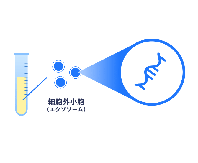 マイクロRNAとは？